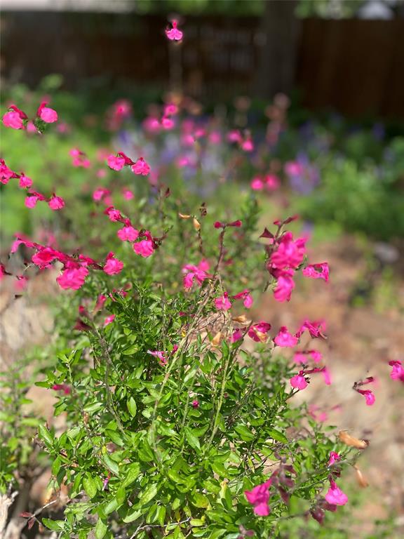 Glenbrook Add - Residential