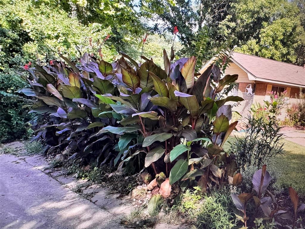 Passmore - Residential