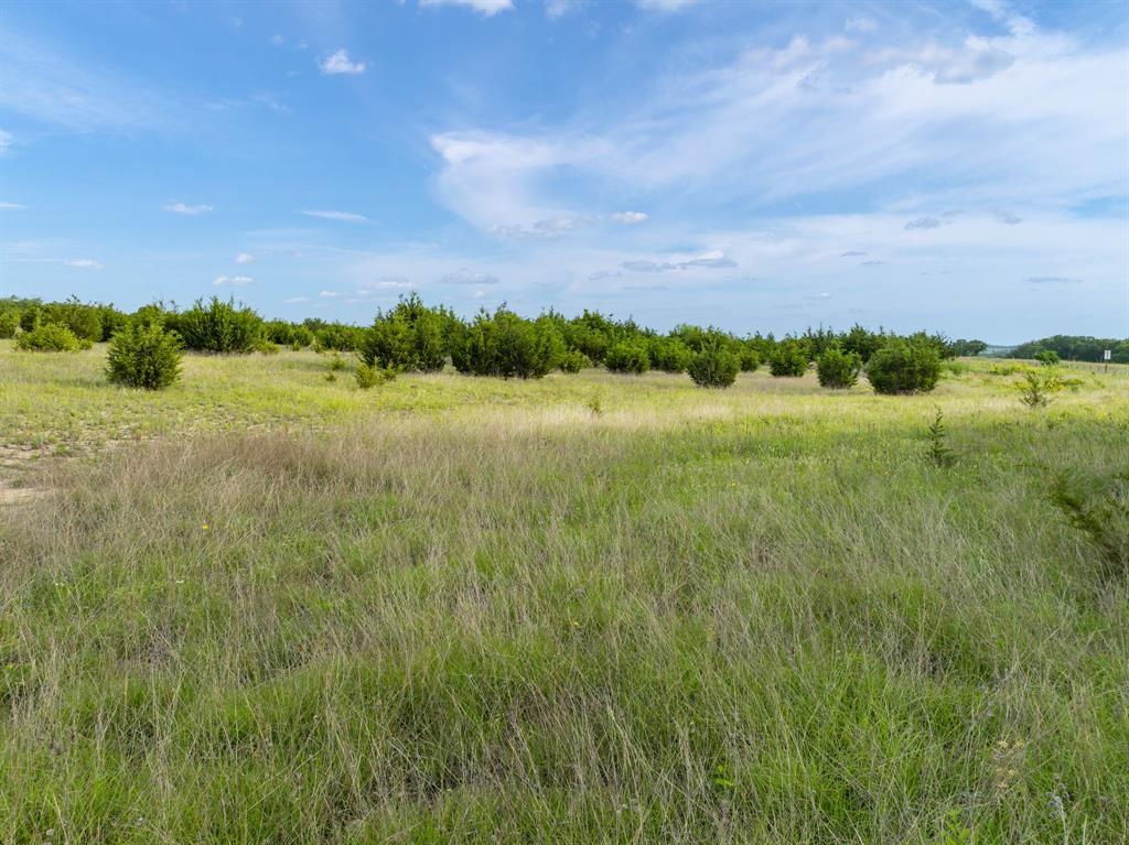 W M West Survey Abst. No. 964 - Land