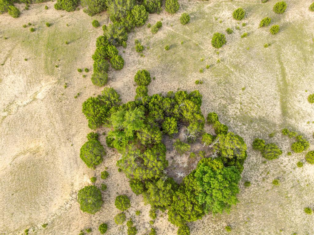 W M West Survey Abst. No. 964 - Land