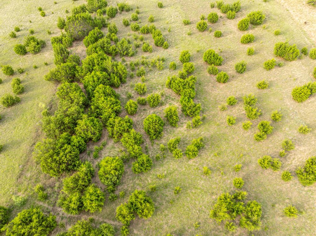 W M West Survey Abst. No. 964 - Land