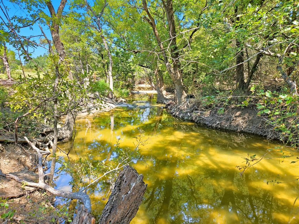 TBD-196.5 acres FM 116 Road