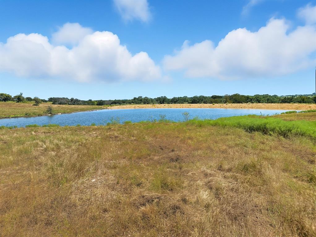 TBD-196.5 acres FM 116 Road