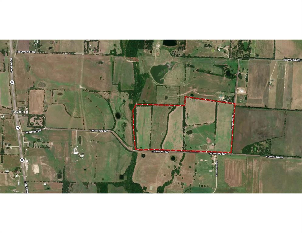 ABS A0556 JOSEPH MATHEWS SURVEY - Farm