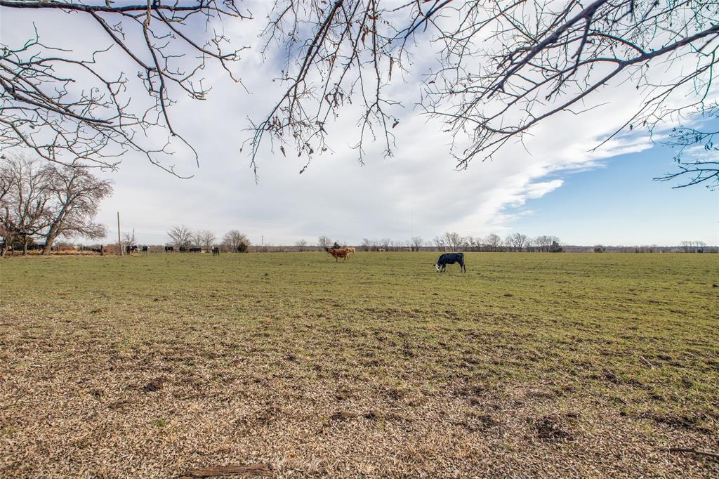 ABS A0556 JOSEPH MATHEWS SURVEY - Farm