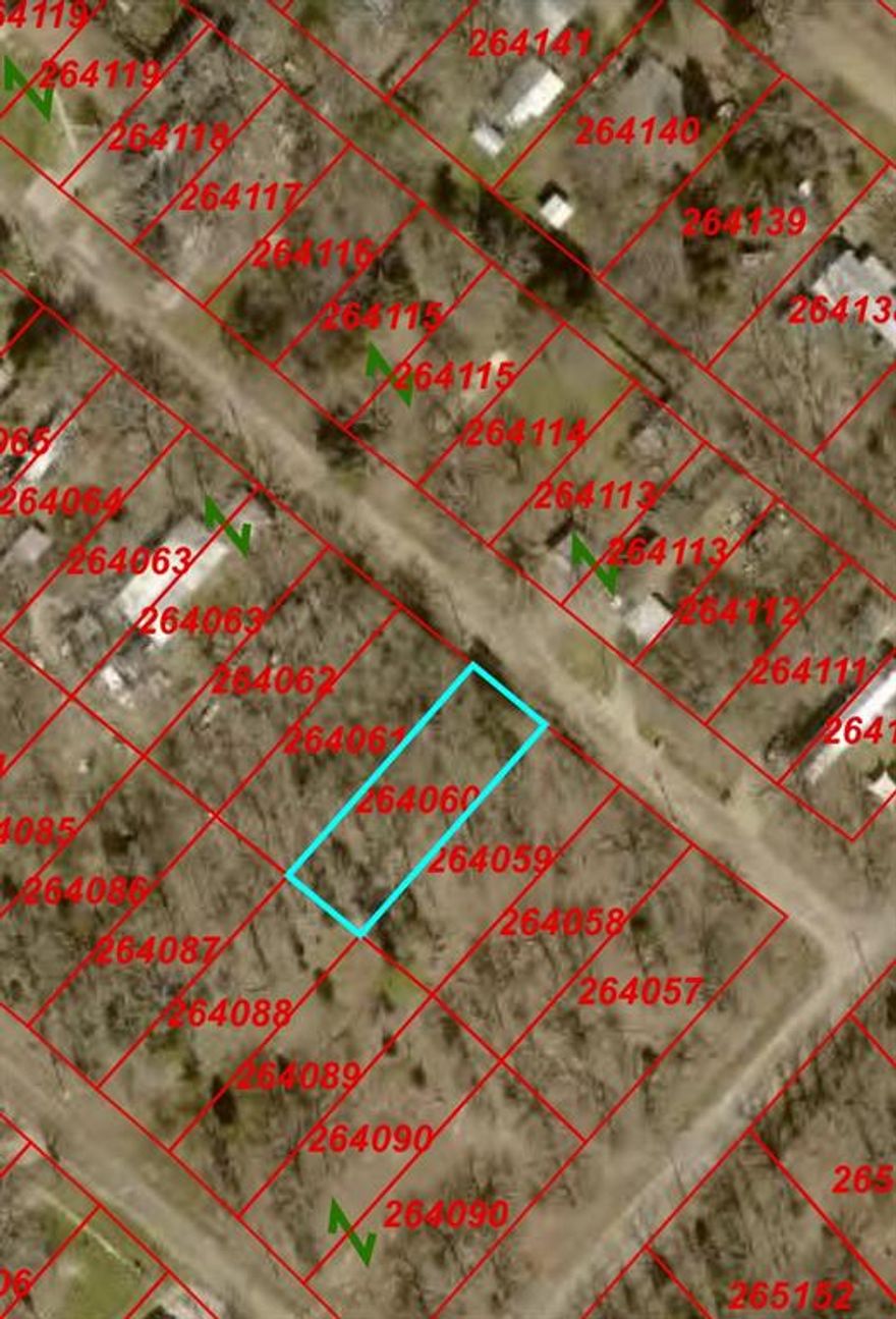 Great opportunity to purchase a buildable lot in Henderson County! This property can be purchased individually or bundled with additional available lots for investors looking to expand their portfolio. The lot features a level layout with scattered mature trees, creating a beautiful setting for a future homesite or a long-term hold. Located within an established subdivision, it offers a peaceful, rural atmosphere while remaining conveniently accessible to nearby highways, towns, and Cedar Creek Lake. Owner financing is available, making this an excellent opportunity for buyers seeking flexible purchase options.