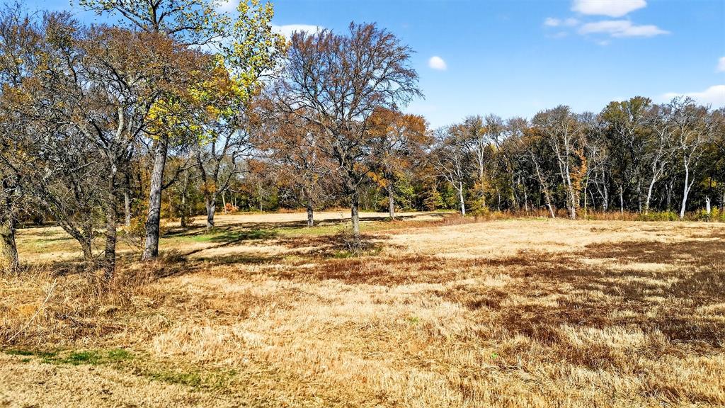 CROSSROADS OF FRIENDLINESS - Land