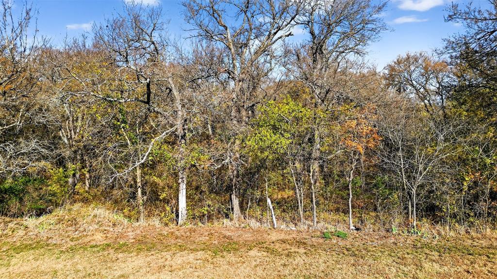 CROSSROADS OF FRIENDLINESS - Land