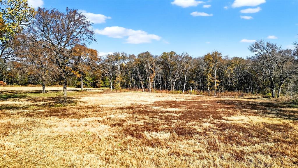 CROSSROADS OF FRIENDLINESS - Land