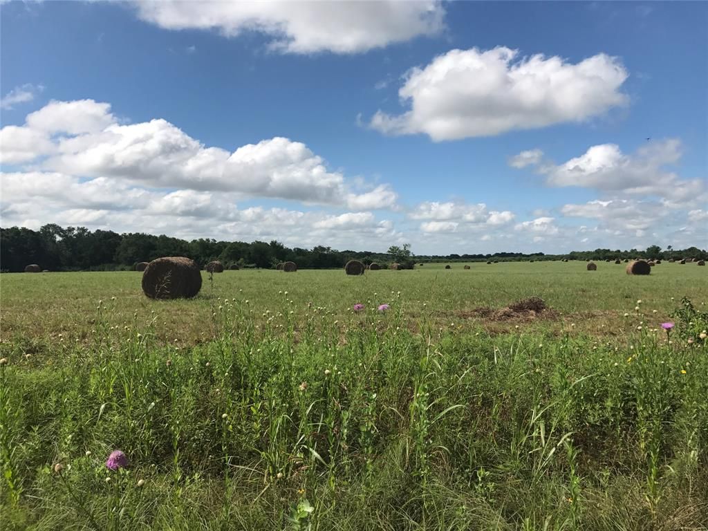 Photo of 0000 TBD I 20 Frontage, Wills Point, TX 75169 (MLS # 21215218)