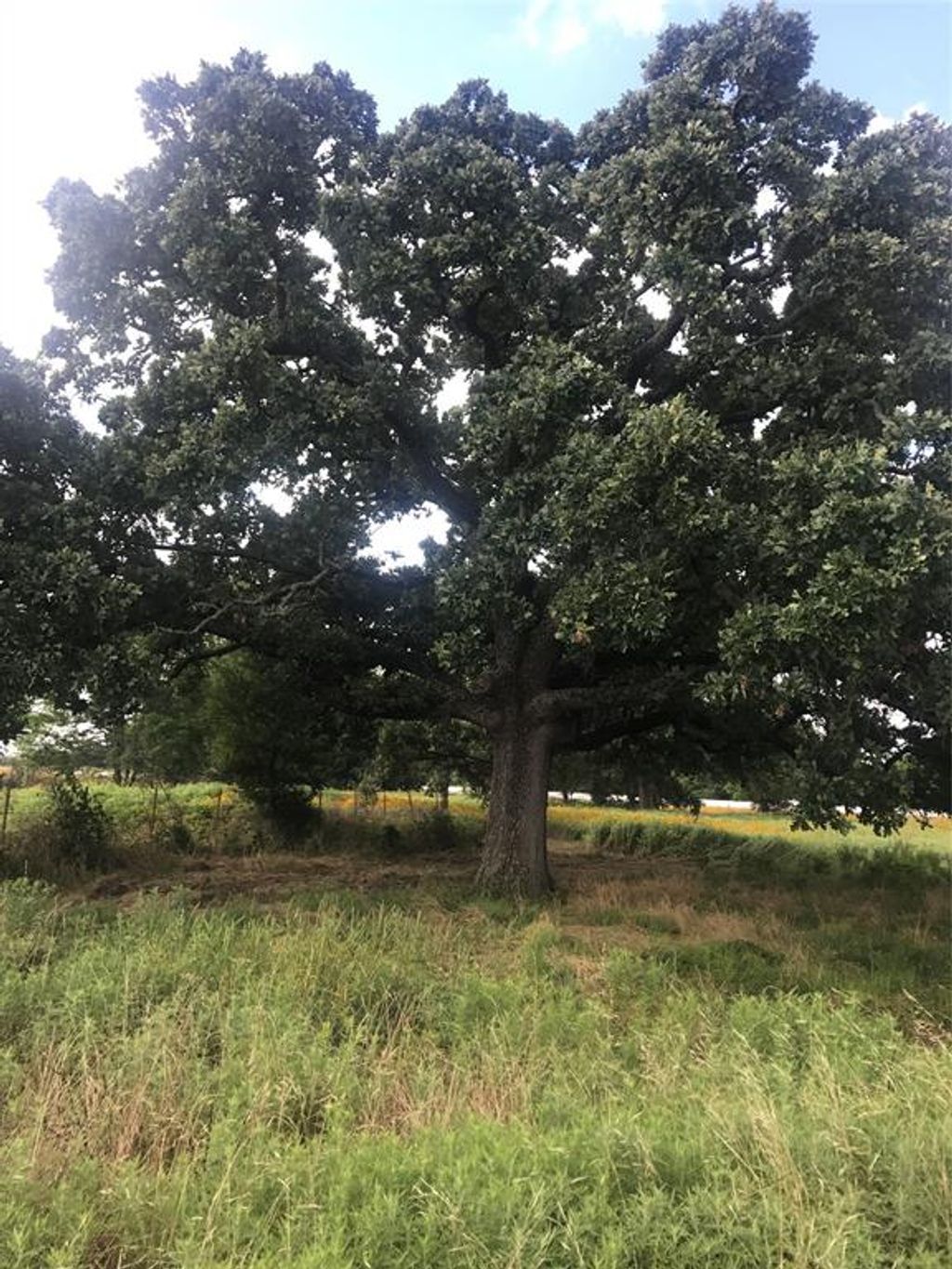 Photo of 0000 TBD I 20 Frontage, Wills Point, TX 75169 (MLS # 21215218)