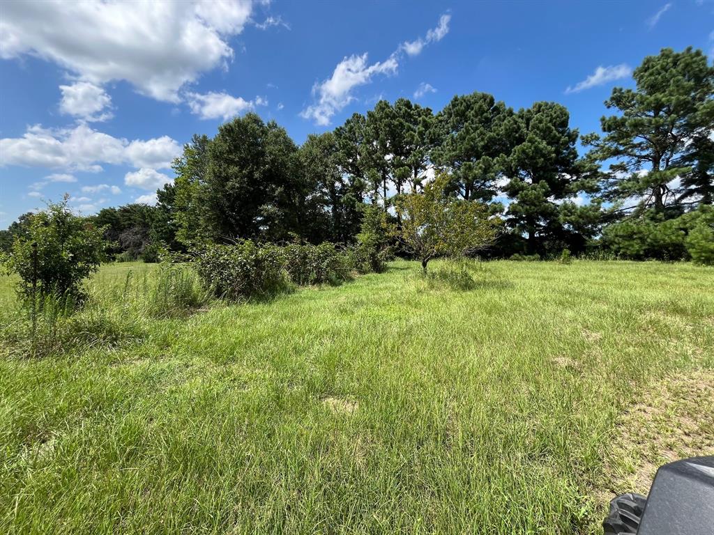 T T Havens - Residential