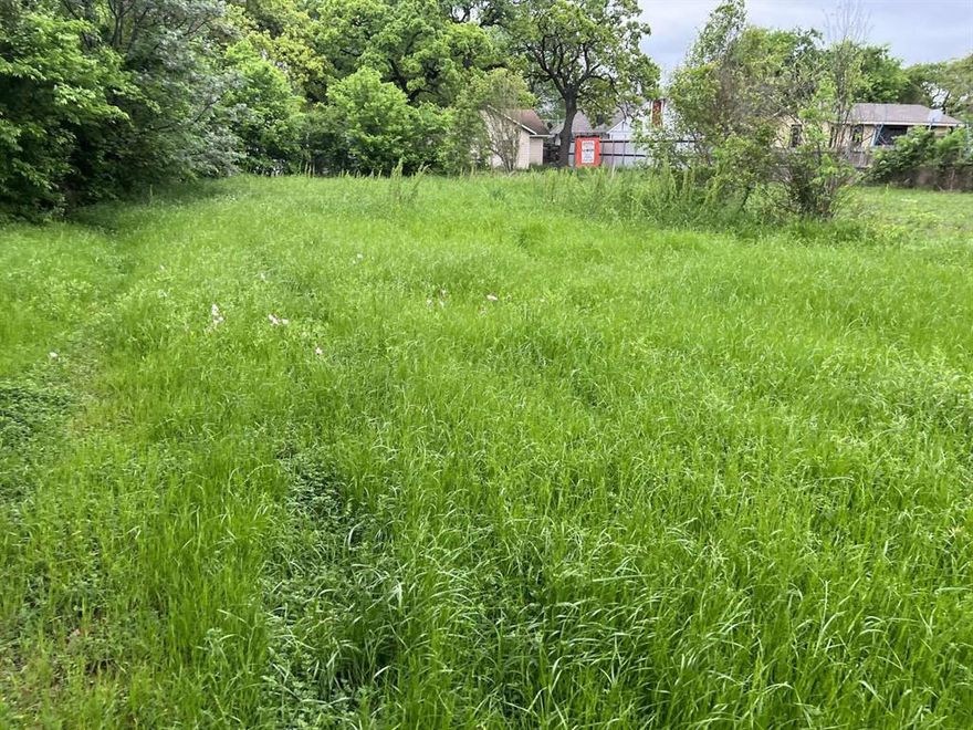 Mill City 50 Initiative lot for sale. Homes built on both sides. Walking distance to the upcoming Community Park at Fair Park which breaks ground in 2026 after the World Cup.