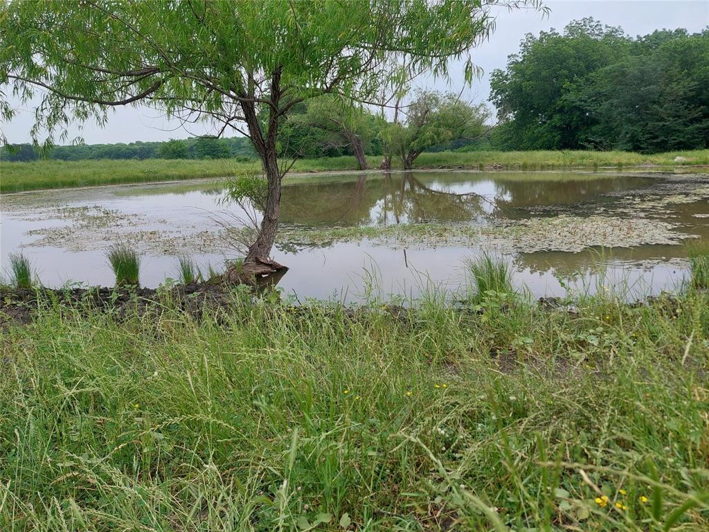 66.682 Acres County Road 2190