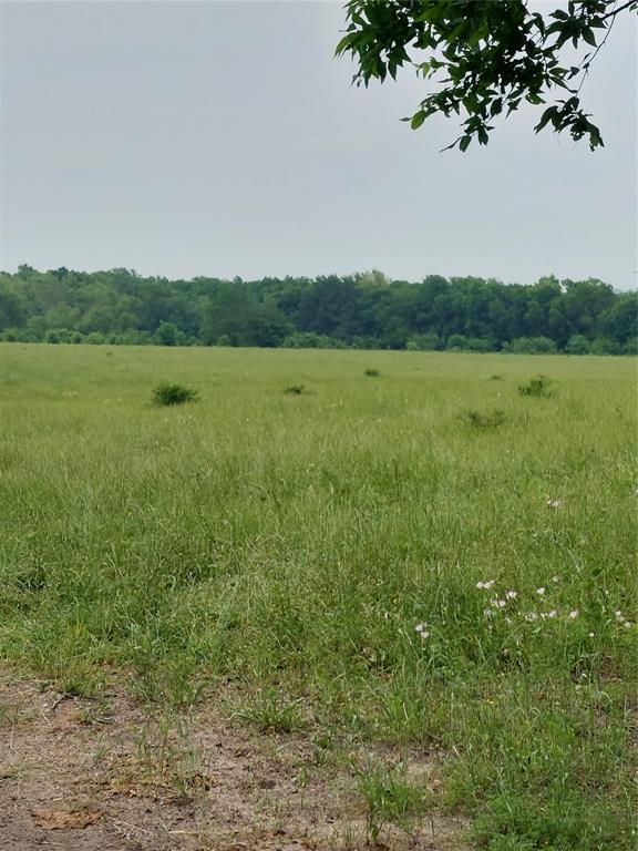 ABST 361 JJ TUMLINSON - Land