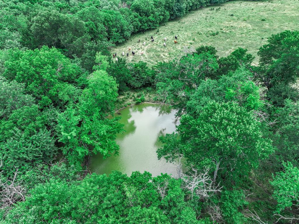 66.682 Acres County Road 2190
