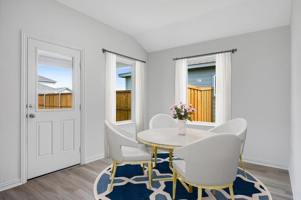 2317 Buffalo Bayou Way