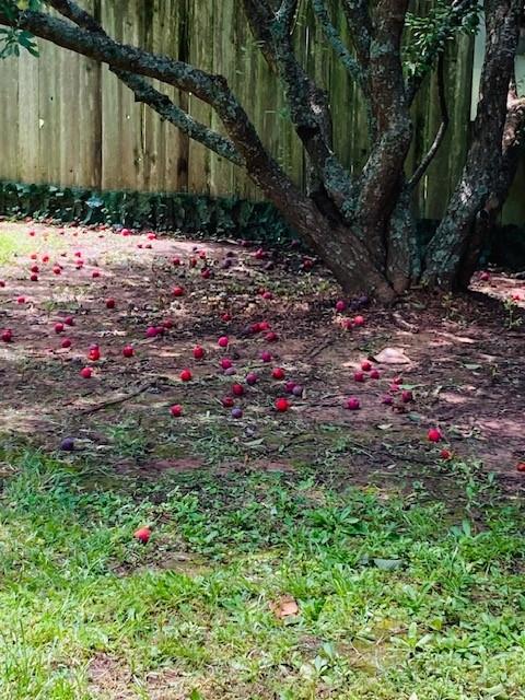 Southwind Corr Un - Residential