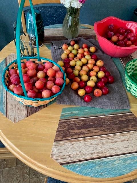 Southwind Corr Un - Residential