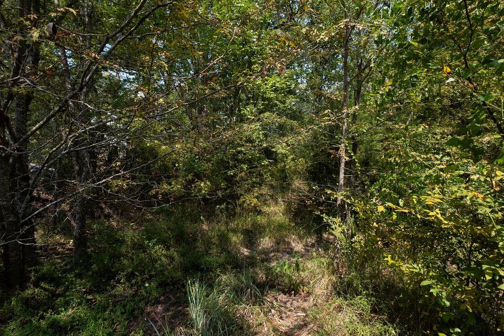 Indian Harbor Sec B - Land