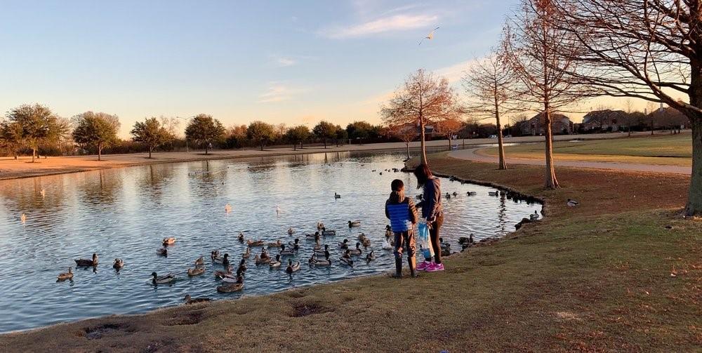 Woodland Park Add Ph 1 - Residential