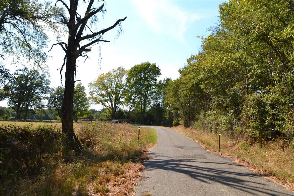 Lot 6 County Road 3410