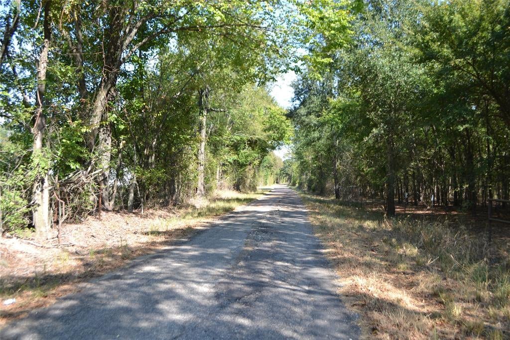 Lot 6 County Road 3410