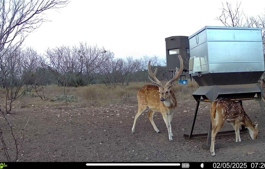 TOTALLY OFF GRID PREMIER HUNTING PROPERTY! Enjoy wide-open Texas living on your 100± acre ag-exempt ranch with modern off-grid comforts in a custom built, two bedroom barndominium. Excellent hunting with axis deer, whitetail, turkey, quail, dove, and hogs. The property features a SOLAR-POWERED WATER WELL supplying two large black poly water storage tanks, securely housed in a separate metal building—ideal for reliable water access year-round.

At the heart of the ranch is a 45’ x 85’ off-grid barndominium, thoughtfully designed for efficiency and versatility. Inside, a 25’ x 45’ two-bedroom, two-bath apartment provides comfortable living quarters and includes a separate pantry and dedicated laundry room, adding everyday convenience to off-grid living. The remaining space offers ample room for a workshop, equipment storage, or future build-out.

The land is part of a Property Owners Association (POA) that maintains private roads and oversees agricultural exemptions, offering peace of mind while preserving the rural lifestyle. With expansive open acreage and a peaceful setting, the ranch is well-suited for livestock, recreation, or long-term investment.

Whether you’re seeking a self-sufficient homestead, recreational ranch, or land investment opportunity, this property delivers freedom, functionality, and room to grow.