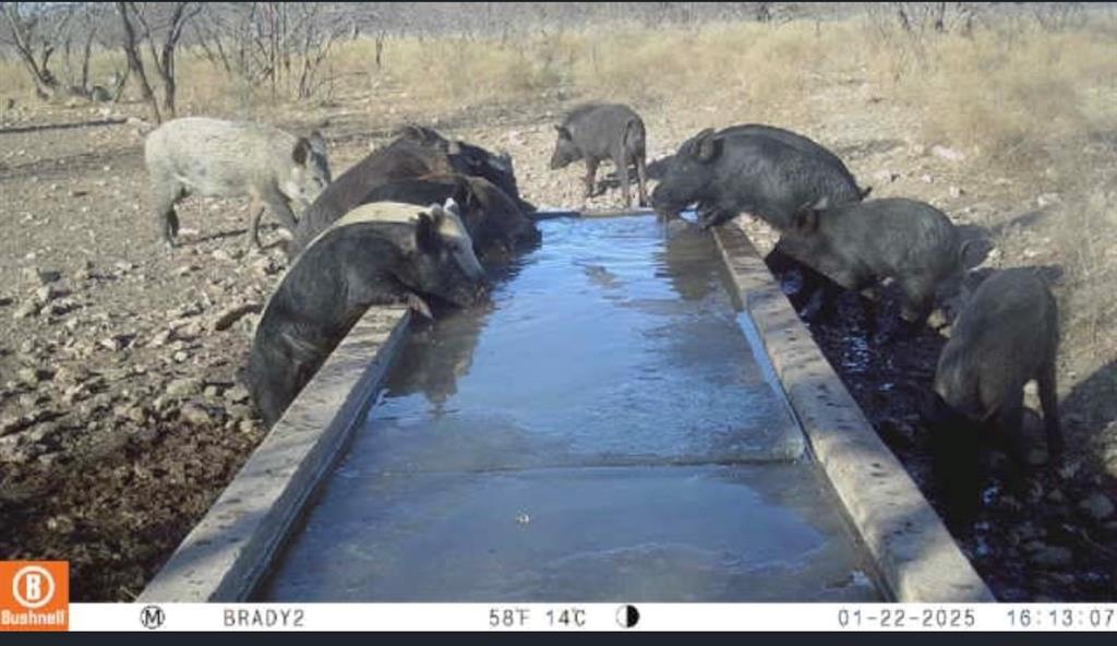 The Ranches at Buck Ridge - Land