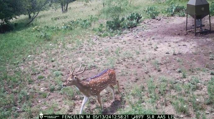 The Ranches at Buck Ridge - Land