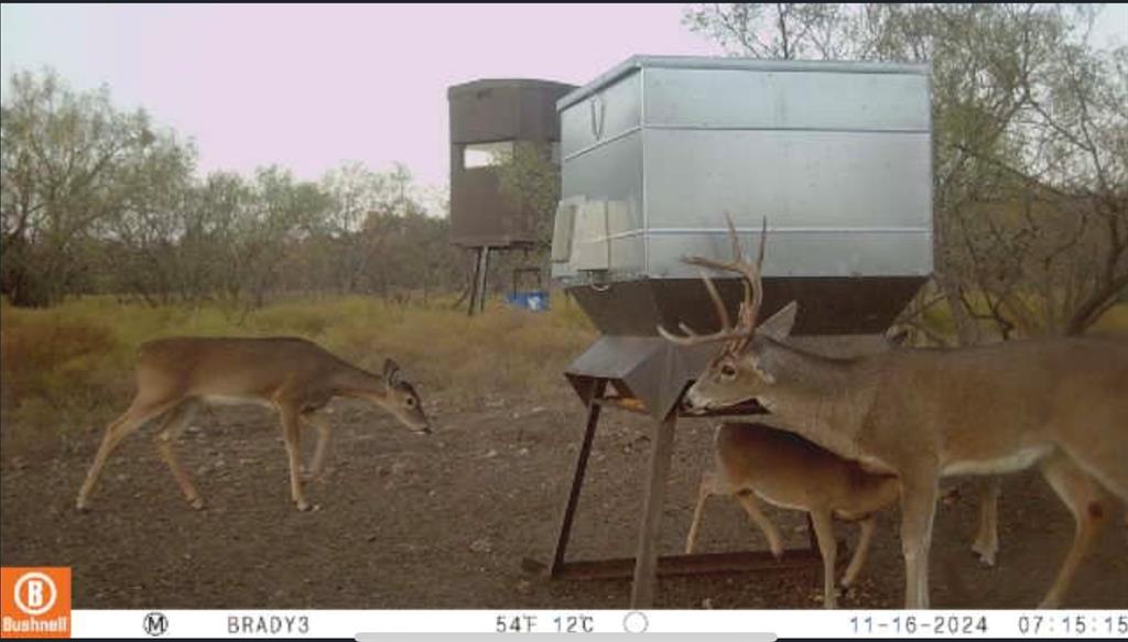 The Ranches at Buck Ridge - Land