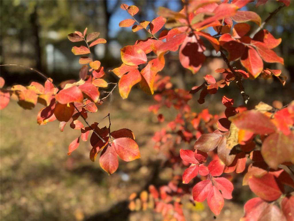 City Of Paris - Residential