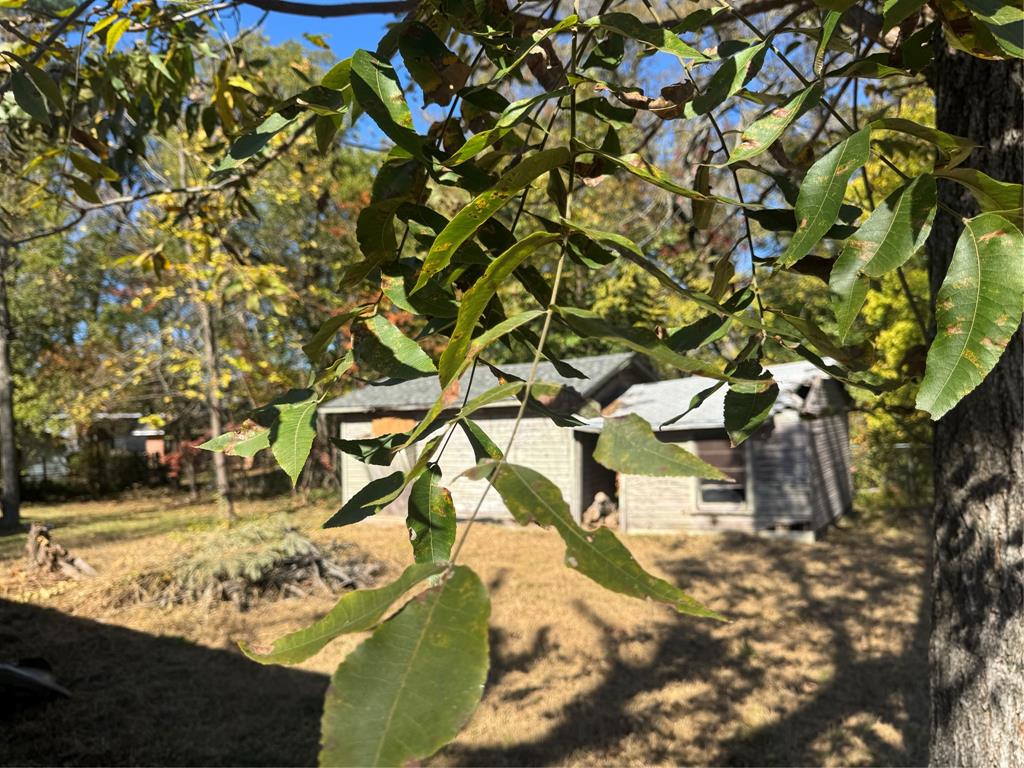 City Of Paris - Residential