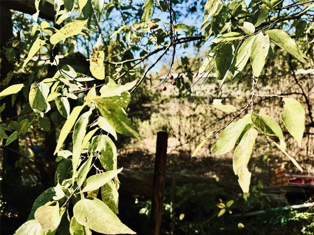 City Of Paris - Residential