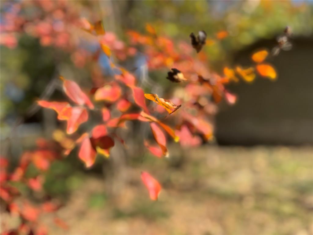 City Of Paris - Residential