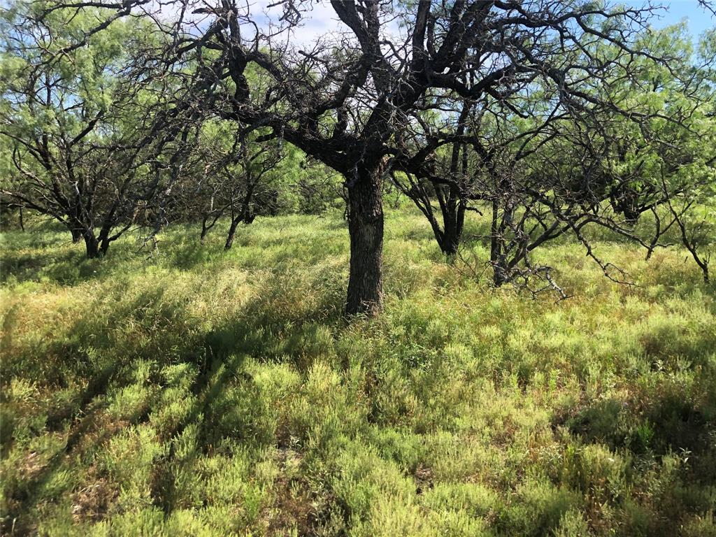 W Ahrenbeck 6 - Farm