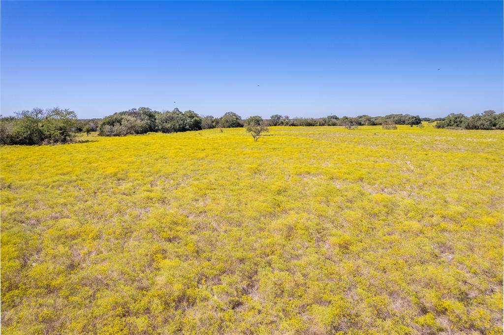 TBD Prairie View Road