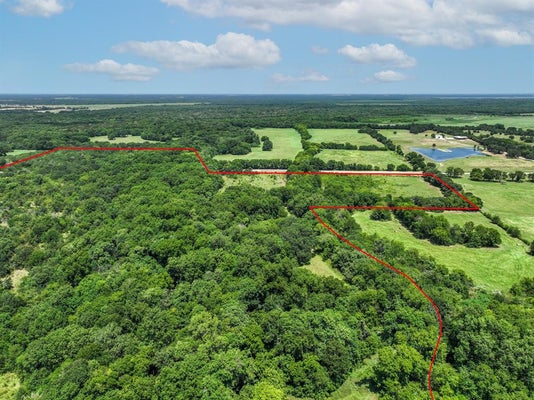 ADDRESS PRIVATE, CUMBY, TX 75433 - Image 55b7f8f40d607cefd13aa8fcc5fab092/3882046802