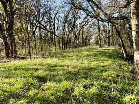 Photo of TBD 20.02 acres CR 328, Dublin, TX 76446 (MLS # 21212141)