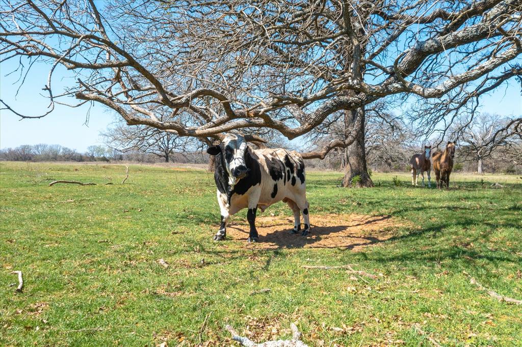 Jd Wright Surv Abs #926 - Land