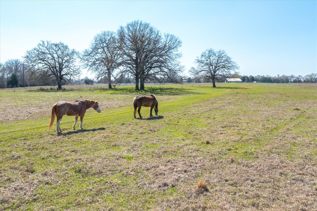 Jd Wright Surv Abs #926 - Land