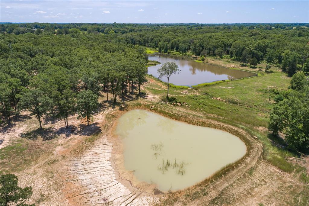 2192 VZ County Road 3117