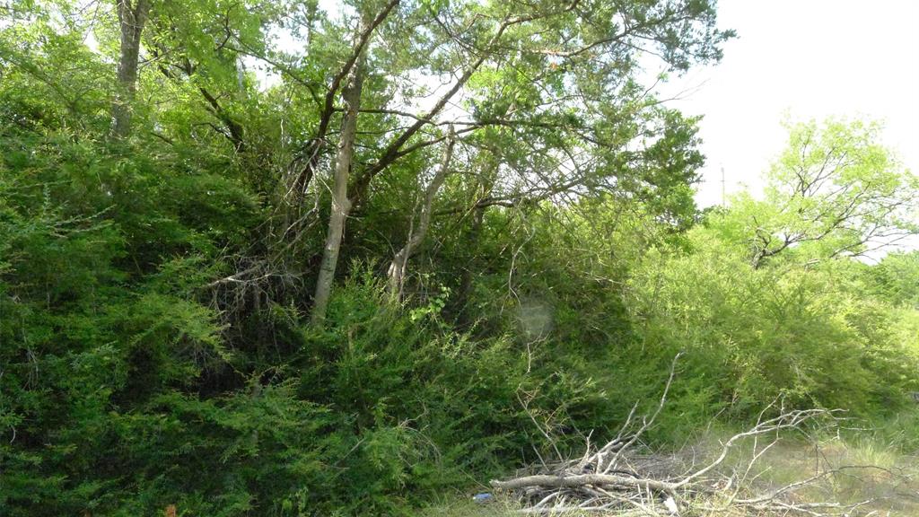 Pleasant View Plantations - Land