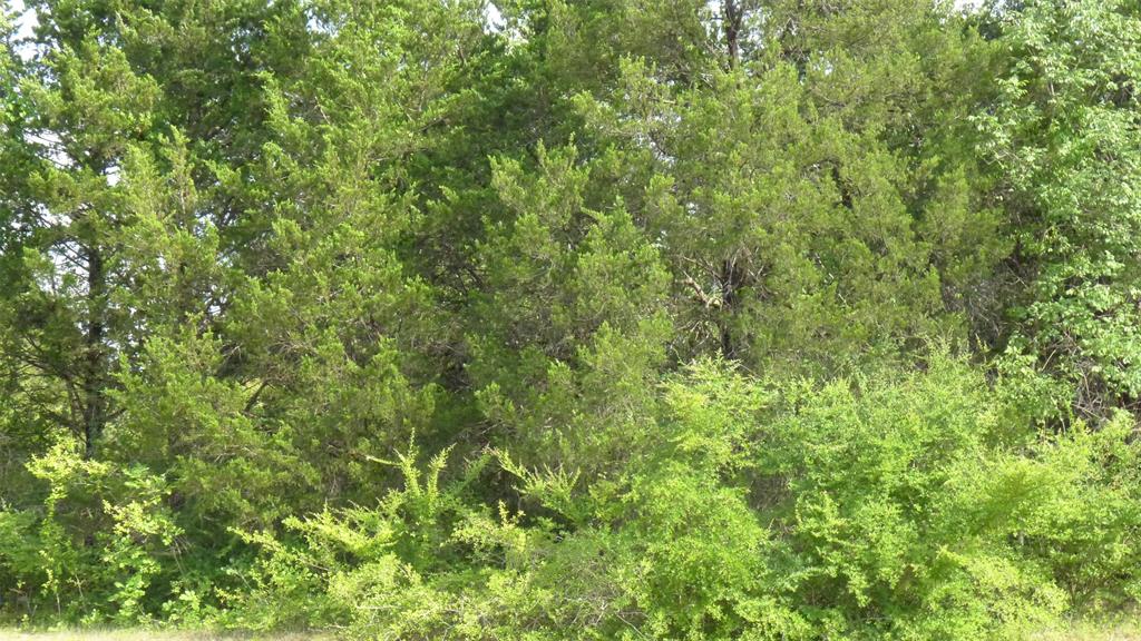 Pleasant View Plantations - Land