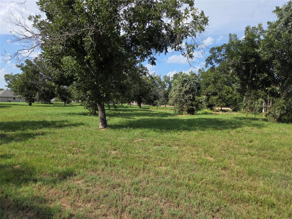The Orchards On The Brazos - Land