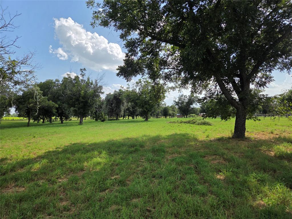 The Orchards On The Brazos - Land