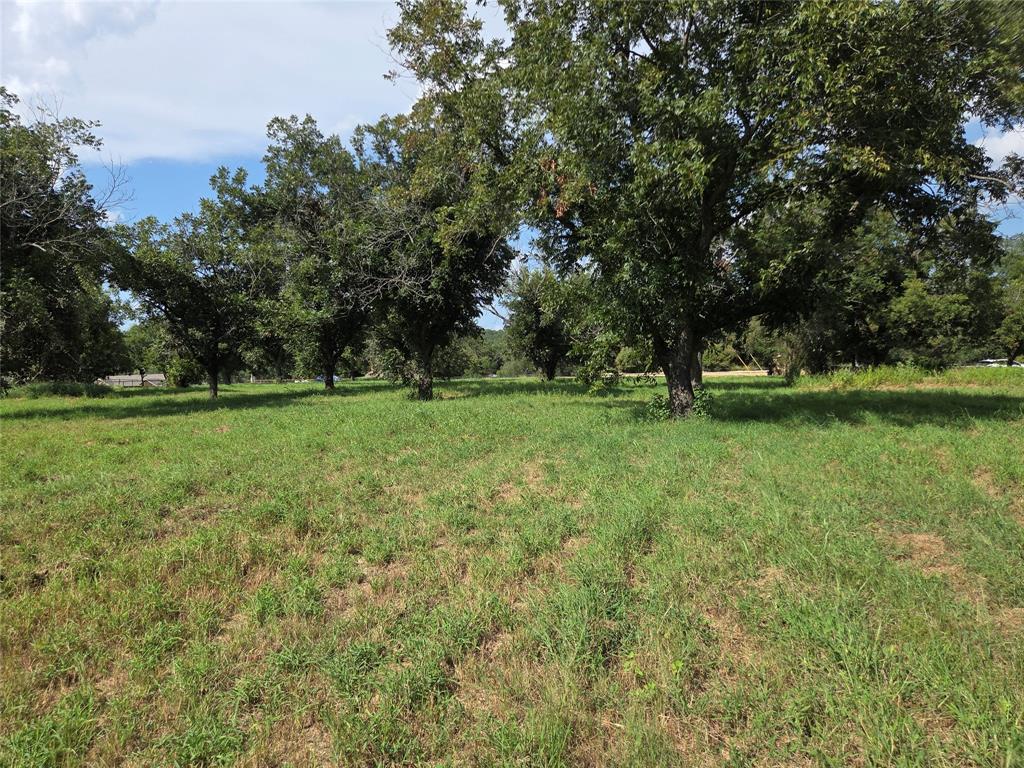 The Orchards On The Brazos - Land