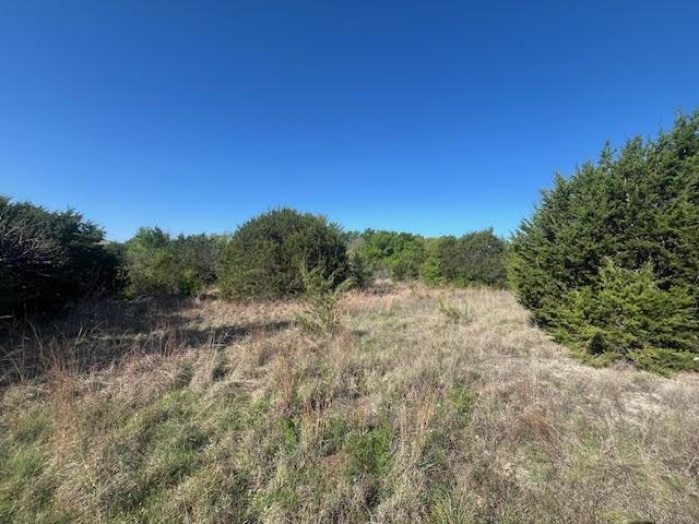 207 Morning Dove Court