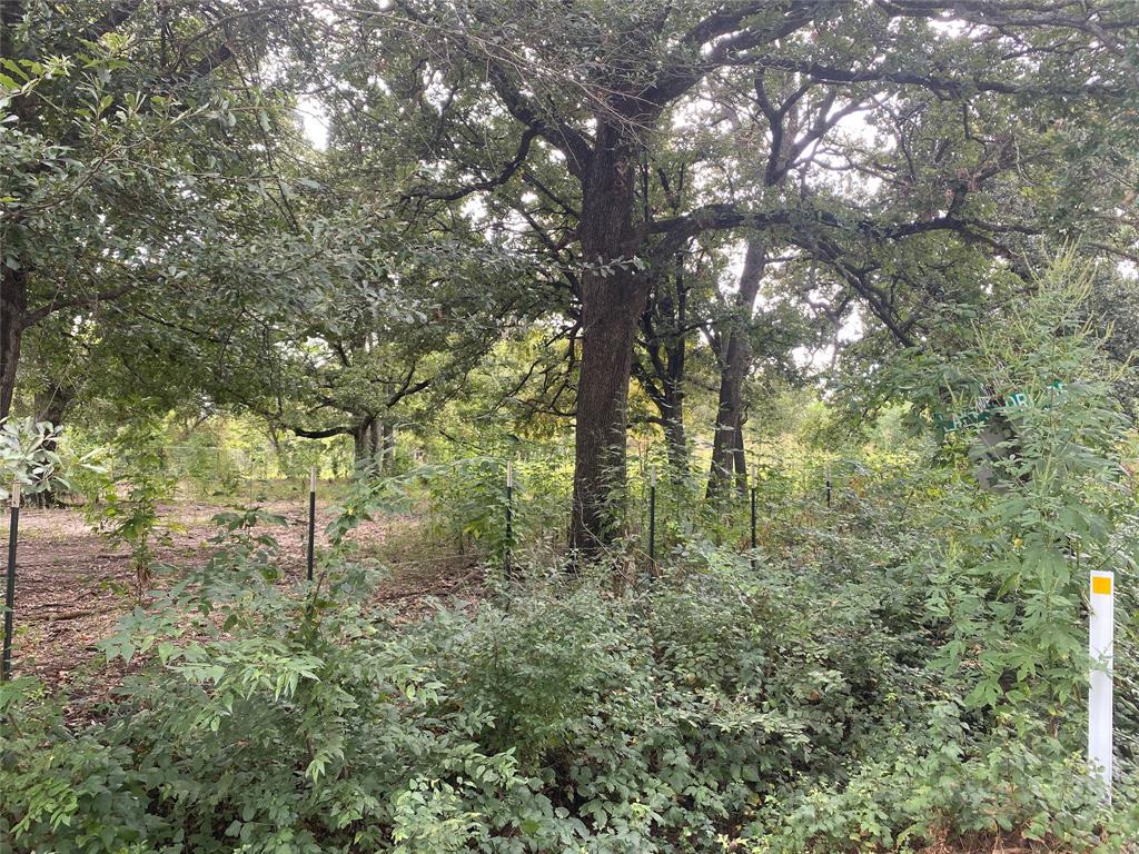 Valentine Shoreline - Land