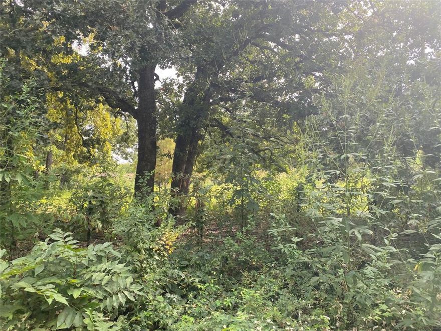 These 2 lots are on the market for the first time. This potential home site is near Cedar Creek Lake, with shade trees, barb wire fencing and WCCMUD water and sewer available. Mobile homes are okay here with little to no restrictions. Come and see this parcel at this price or buy the three additional contiguous lots that are available.